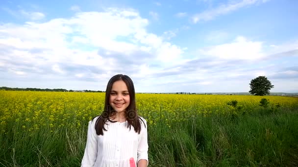 Ευτυχισμένη κοριτσάκι παίζει μεταξύ σαπουνόφουσκες στο πράσινο λιβάδι το καλοκαίρι — Αρχείο Βίντεο