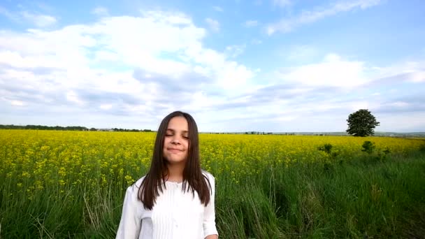 Niña feliz jugando entre burbujas de jabón en el prado verde en verano — Vídeos de Stock