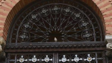 Kilise ikamet Bukovinian ve Dalmaçya Metropolitans, şimdi Chernivtsi Üniversitesi bölüm. Yuriy Fedkovych Chernivtsi Ulusal Üniversitesi. Chernovtsi, Europe