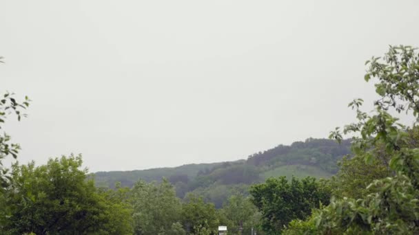 Vista da paisagem da árvore da floresta de montanha em névoa. Floresta de pinheiros nuvem. Árvore verde — Vídeo de Stock