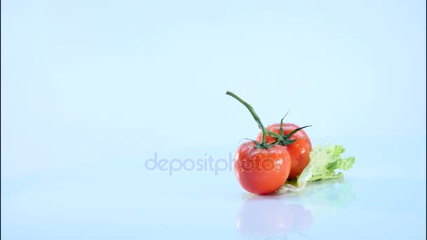 Tomates aislados sobre fondo blanco.Almuerzo de tomates giratorios — Vídeos de Stock