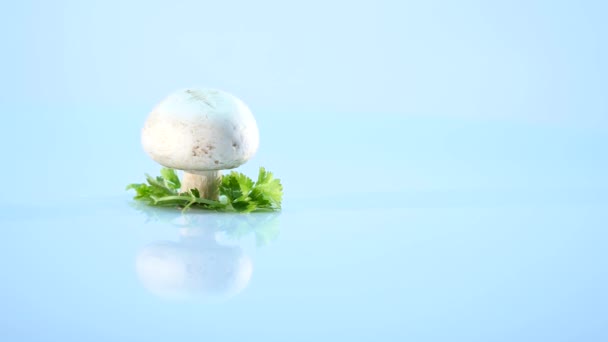 White mushrooms on white background — Stock Video