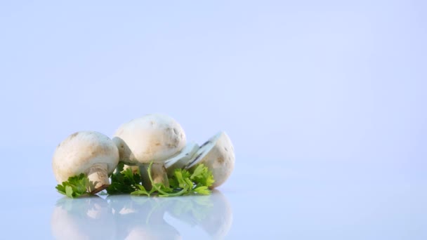 White mushrooms on white background — Stock Video