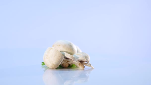 White mushrooms on white background — Stock Video