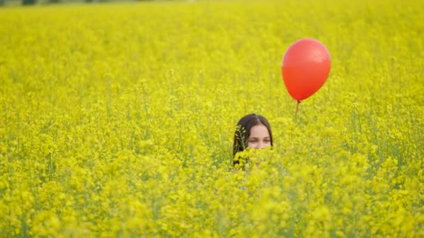 Happy girl with balloons in the field — Stock Video