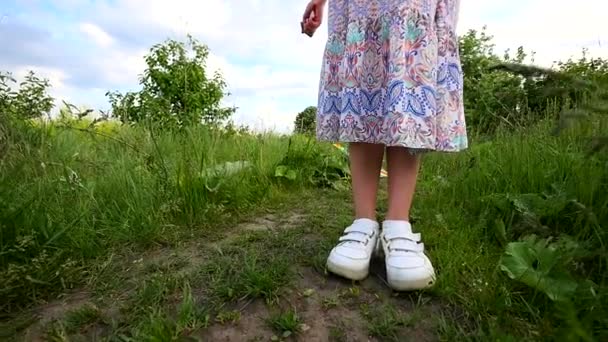 Un bambino corre attraverso un prato con un aquilone — Video Stock