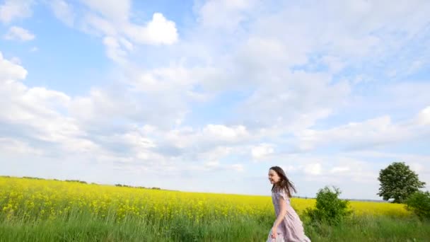 Un enfant court dans une prairie avec un cerf-volant — Video