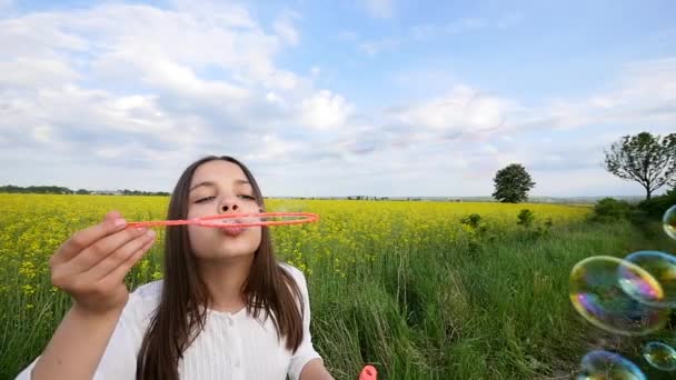 Щаслива маленька дівчинка грає серед мильних бульбашок на зеленому лузі влітку — стокове відео