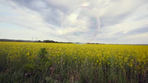 青い曇り空と黄金の菜の花畑で泡 — ストック動画