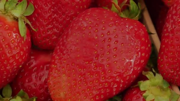 Nahtlose Textur saftiger Erdbeeren — Stockvideo