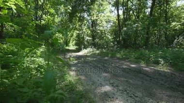 Atv adam ormana doğru sürmek