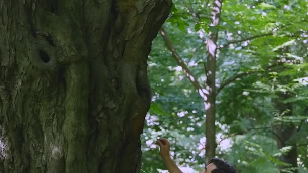 Mannen hand utfodring ekorre i parken — Stockvideo