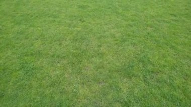 yeşil çayır çim alan futbol için