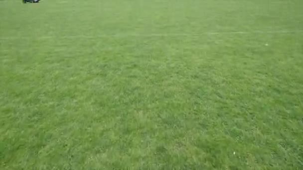 Groene weide grasveld voor voetbal — Stockvideo