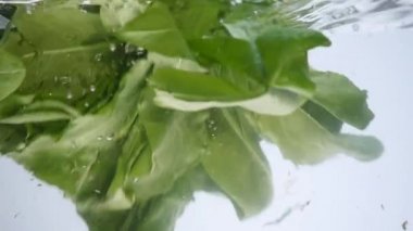 su damlaları ve üzerinde beyaz izole sıçrama ile yeşil ıspanak yaprağı
