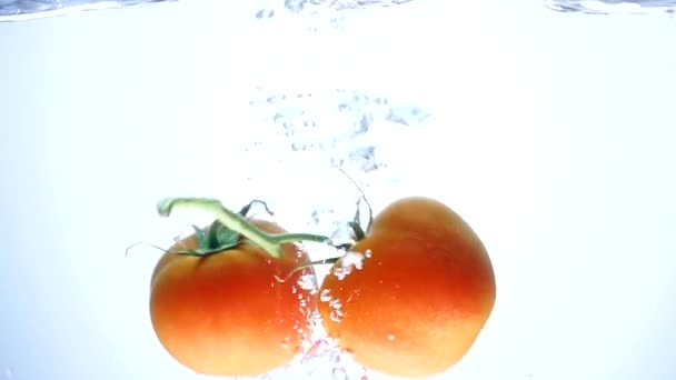 Свежий большой помидор падает в воду и делает пузырьки — стоковое видео