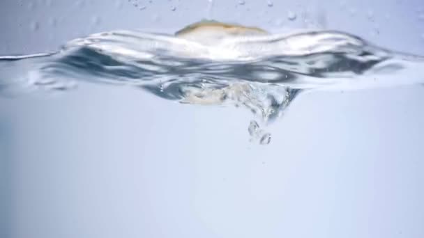 Champiñones que caen en el agua para lavar para cocinar — Vídeos de Stock