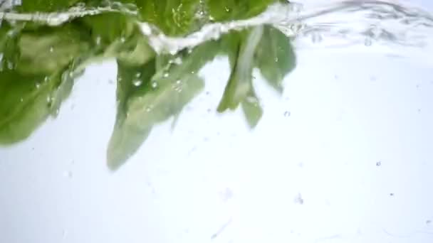 Folha de espinafre verde com gotas de água e respingo isolado no branco — Vídeo de Stock