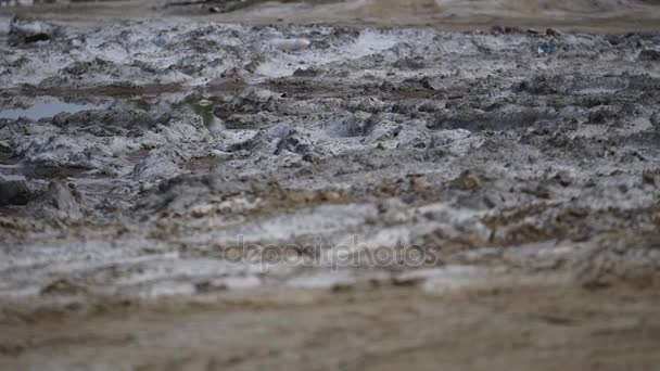 泥和雨-重点放在地上 — 图库视频影像