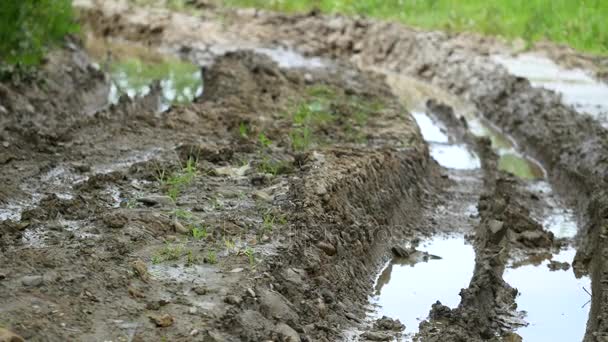 Matsch und Regen - Fokus auf den Boden — Stockvideo