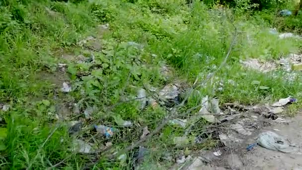 Απαγορεύεται η απόρριψη αποβλήτων στο δάσος. σκουπίδια τοποθέτηση στο έδαφος — Αρχείο Βίντεο