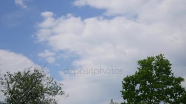 Zaman atlamalı bir ağaç gökyüzünde bulutlar