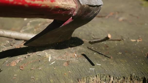 An ax in a stump on the background in the forest — Stock Video