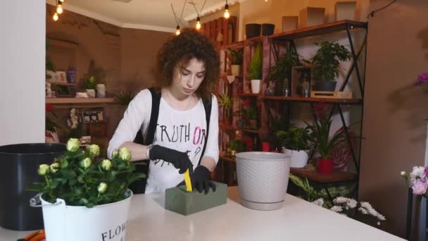 Florist in own flower shop, preparing a pot for a bouquet — Stock Video