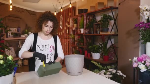 Florist in own flower shop, preparing a pot for a bouquet — Stock Video