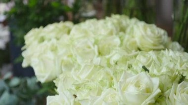 Çiçek Dükkanı Satılık yakın çekim shot beyaz renk yeşil sapları ve yaprakları düzenlenen ile taze gül demetleri