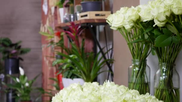 Detailní záběr čerstvých růží bílé barvy s zelené stonky a listy uspořádané v hrozny na prodej v květinové prodejně — Stock video