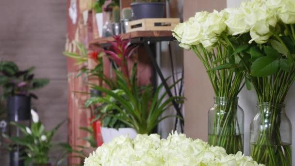 Primer plano de rosas frescas de color blanco con tallos verdes y hojas dispuestas en racimos para la venta en tienda de flores — Vídeos de Stock