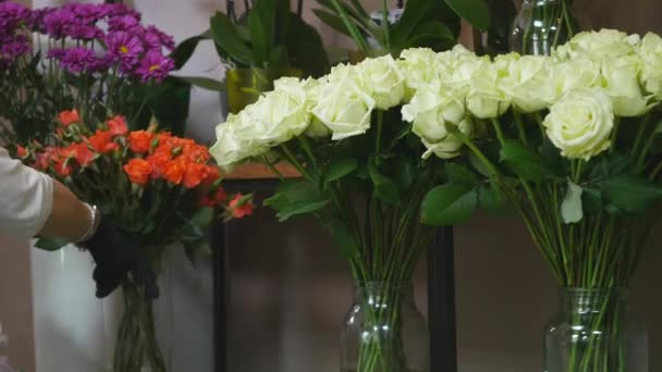 Bir bitki dükkanında Satılık güzel güller topluluğu — Stok video