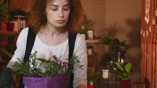 Fleuriste professionnel commencer à faire un bouquet de pivoines roses — Video