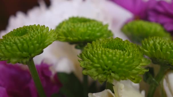 Květinářství dělá obrovské krásné barevné kytice skládající se z různých květin — Stock video
