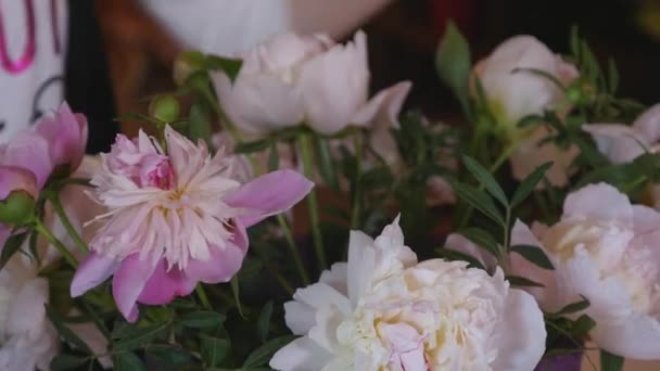 Cerrar floristería haciendo un ramo de Peones — Vídeo de stock