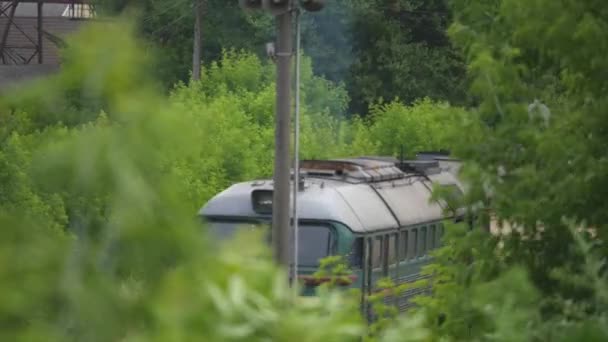 O comboio anda nos carris. atirando através das árvores — Vídeo de Stock