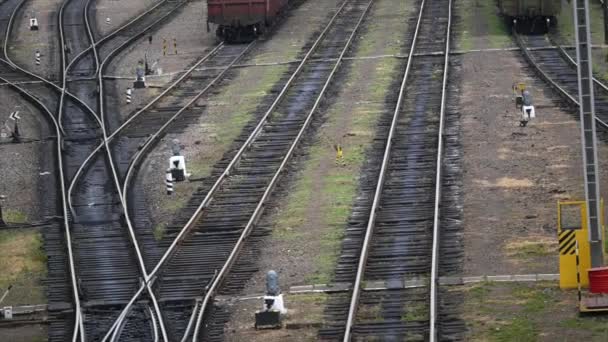 Wagons met boom op het spoor — Stockvideo