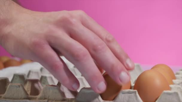 Eggs are stacked in a tray — Stock Video