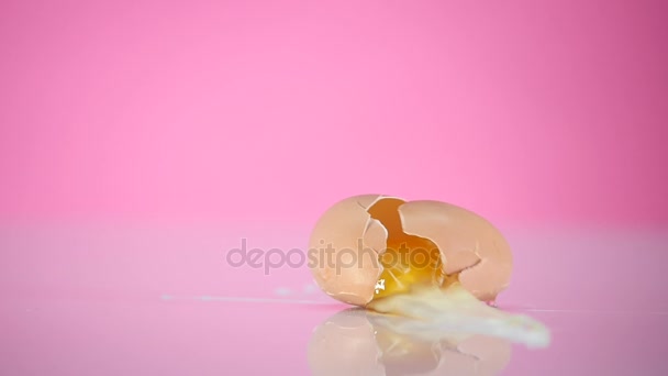 The egg falls and crashes on pink background — Stock Video