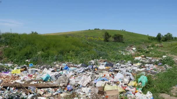 Σωρό από σκουπίδια στην ύπαιθρο — Αρχείο Βίντεο