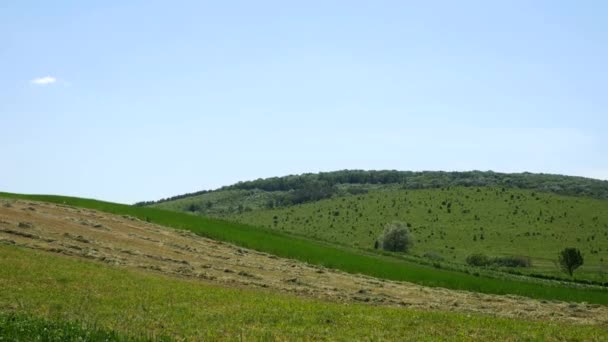 Холм с зелеными деревьями и полями — стоковое видео