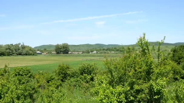 Vue du village à travers les arbres 
