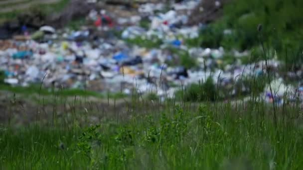 휴지통에 쓰레기를 수집 하는 소년 — 비디오