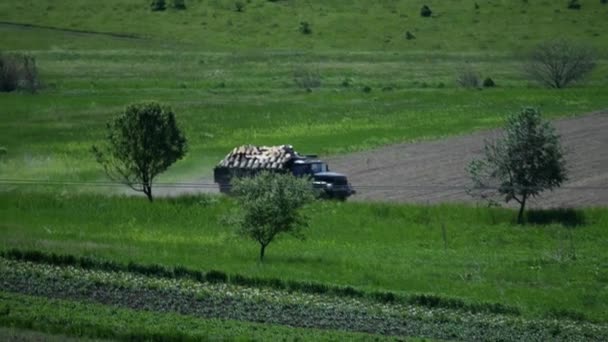 Автомобіль несе дрова поблизу поля — стокове відео