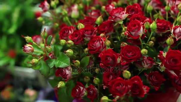 Bouquet of red roses small roses — Stock Video