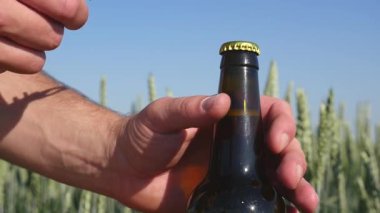 Adam bir şişe bira buğday alanında açar. yakın çekim