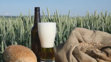 Bir bardak bira ve ekmek buğday alanında