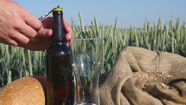 Человек открывает бутылку пива на пшеничном поле. close up — стоковое видео