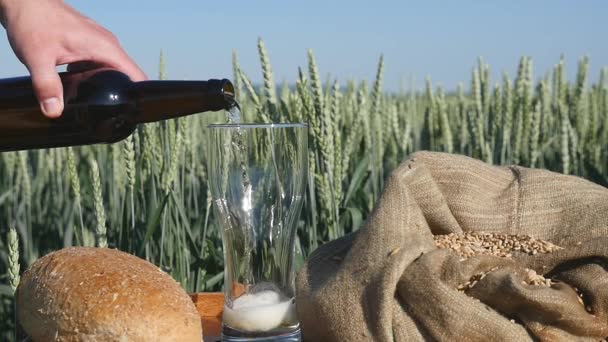 Kvass pours into a glass in a wheat field — Stock Video